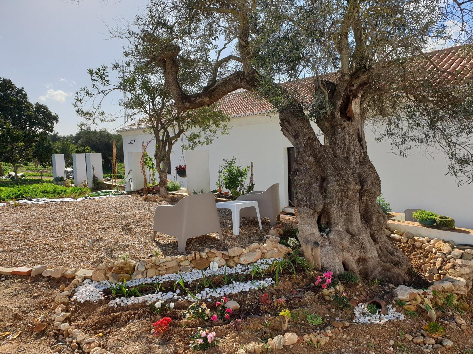 Monte Das Acoteias - Agroturismo Tavira Dış mekan fotoğraf